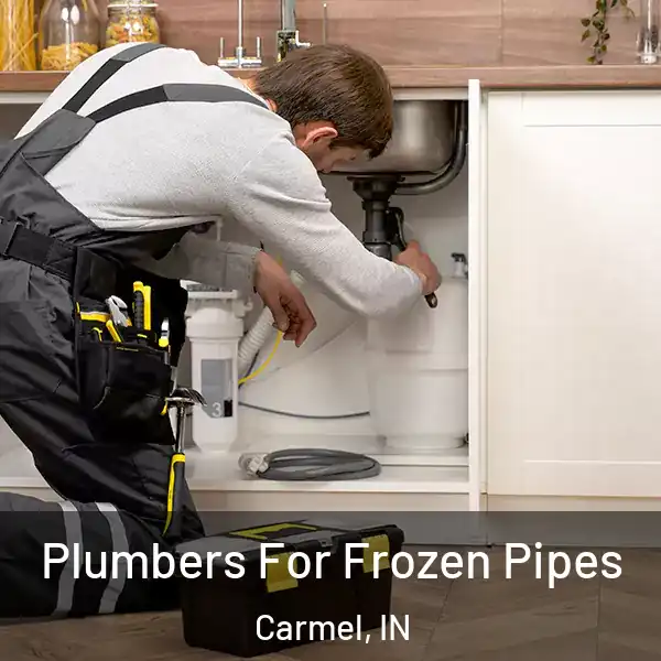  Plumbers For Frozen Pipes Carmel, IN