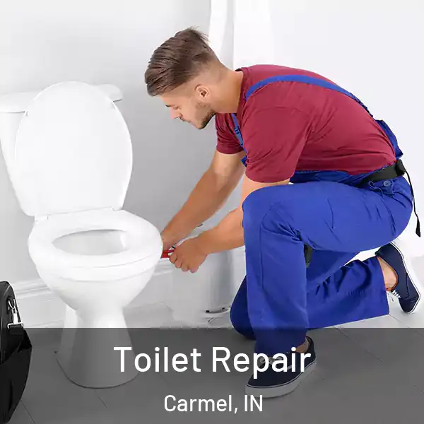  Toilet Repair Carmel, IN