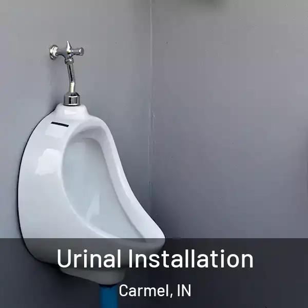  Urinal Installation Carmel, IN